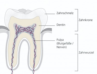 flyer_endodontischebehandlung_abb_1